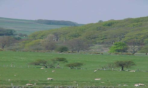 Haughfoot Picture