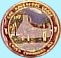 Commemerative Token